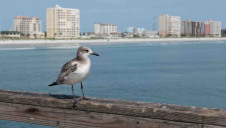St John's County is part of Jacksonville Metropolitan Area, Florida